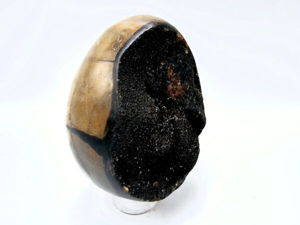 Septarian Geode (Dragon Egg) A (872g)