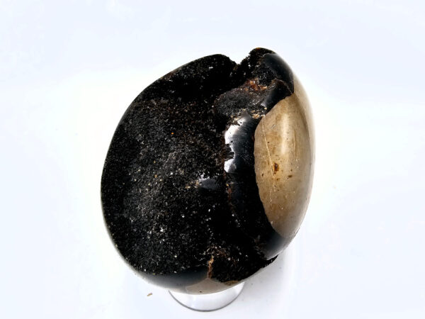 Septarian Geode (Dragons Egg) E 320g