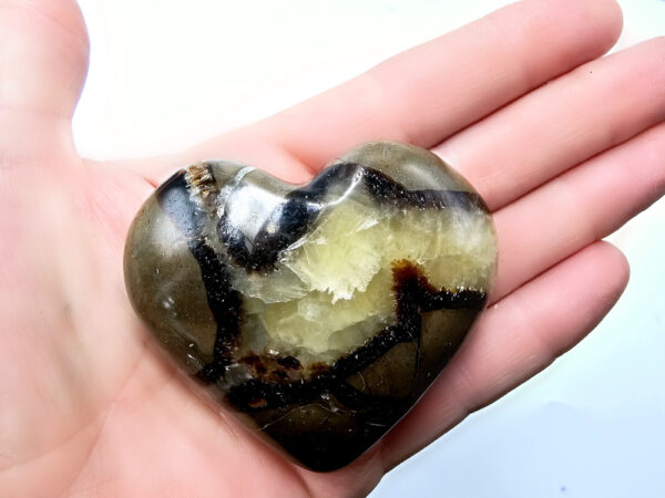 Septarian Polished Heart A (128g)