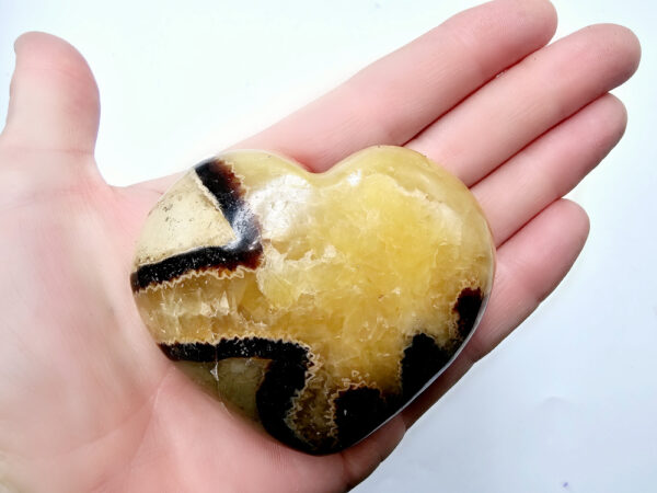 Septarian Polished Heart B (196g)