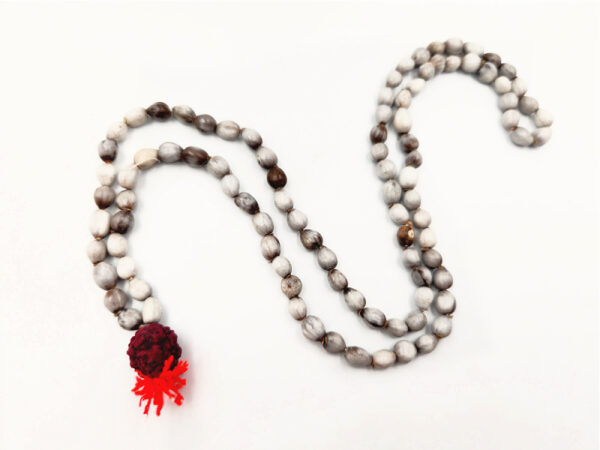 Vaijanti Seed Mala