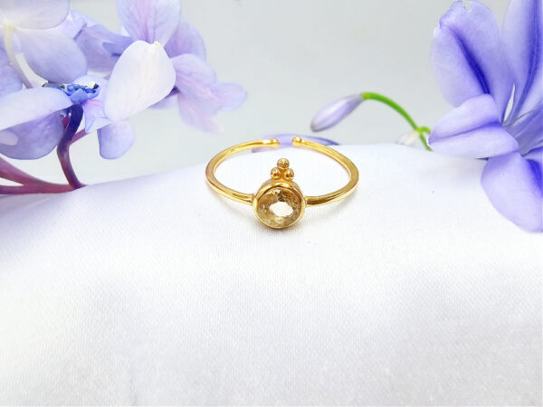 Brass Round Citrine Ring With Circles (Adjustable)