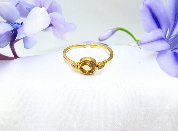 Brass Round Citrine Ring With Side Circles (Adjustable)