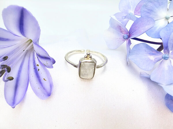 Rainbow Moonstone Square Ring With Circles (925 Silver)